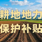 云垦响应国家种粮直补政策，助力农业发展添新篇